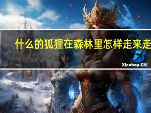 什么的狐狸在森林里怎样走来走去