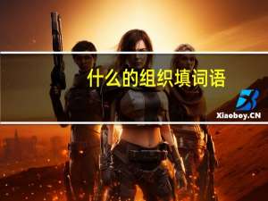 什么的组织填词语