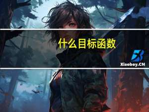 什么目标函数