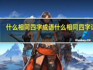 什么相同四字成语 什么相同四字词语