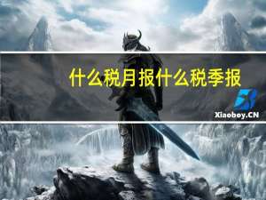 什么税月报什么税季报