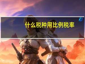 什么税种用比例税率