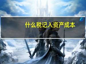 什么税记入资产成本