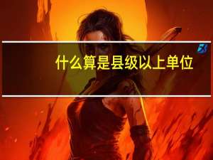 什么算是县级以上单位