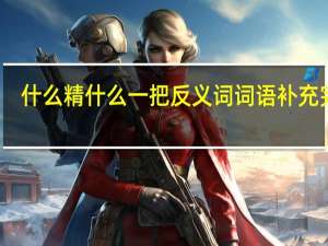 什么精什么一把反义词词语补充完整（什么精什么一）