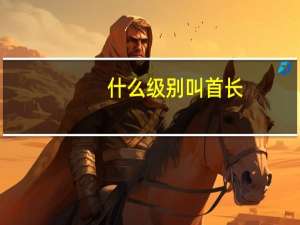 什么级别叫首长