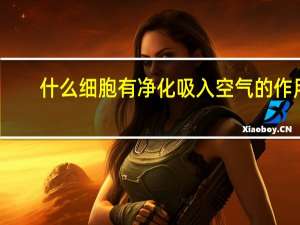 什么细胞有净化吸入空气的作用