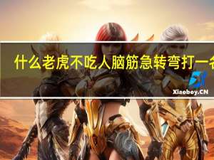 什么老虎不吃人脑筋急转弯打一名词（什么老虎不吃人脑筋急转弯）