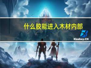什么胶能进入木材内部