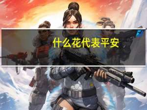 什么花代表平安