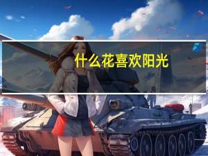 什么花喜欢阳光