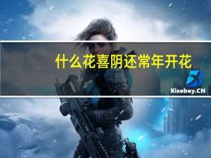 什么花喜阴还常年开花