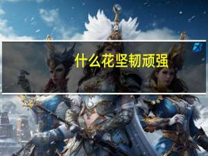 什么花坚韧顽强