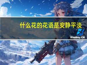什么花的花语是安静平淡