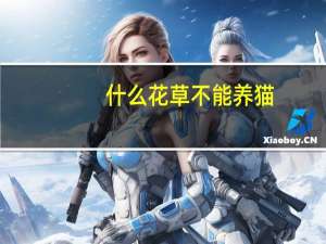 什么花草不能养猫