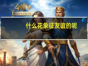 什么花象征友谊的呢