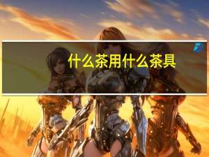 什么茶用什么茶具