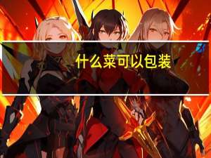 什么菜可以包装