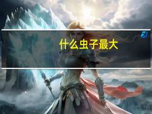 什么虫子最大