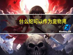 什么蛇可以作为宠物用