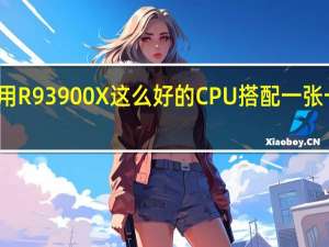 什么要用R93900X这么好的CPU搭配一张一般般的显卡