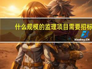 什么规模的监理项目需要招标