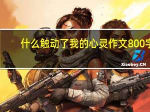 什么触动了我的心灵作文800字（什么触动了我的心灵）