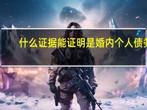 什么证据能证明是婚内个人债务