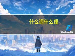 什么词什么理