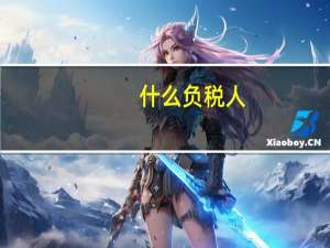 什么负税人