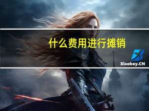 什么费用进行摊销