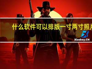 什么软件可以排版一寸两寸照片（1寸2寸照片排版软件）