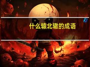 什么辕北辙的成语