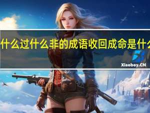 什么过什么非的成语 收回成命是什么生肖