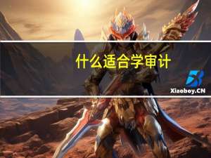 什么适合学审计