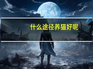 什么途径养猫好呢