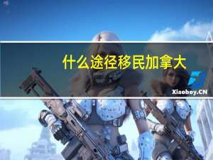 什么途径移民加拿大
