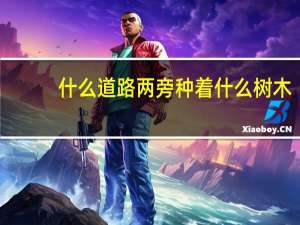 什么道路两旁种着什么树木