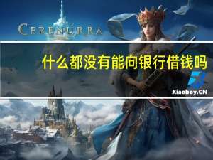 什么都没有能向银行借钱吗