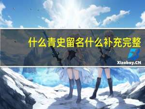 什么青史留名什么补充完整