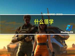 什么领学