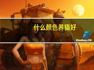 什么颜色养猫好