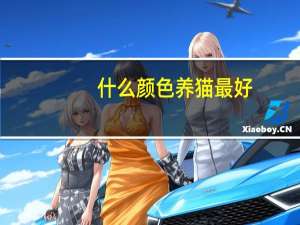 什么颜色养猫最好