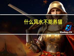 什么风水不能养猫