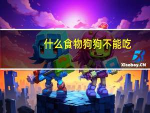 什么食物狗狗不能吃