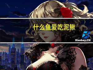 什么鱼爱吃泥鳅