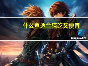 什么鱼适合猫吃又便宜