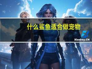 什么鲨鱼适合做宠物