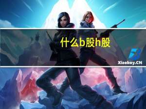 什么b股h股