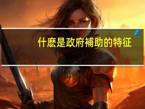 什麽是政府補助的特征